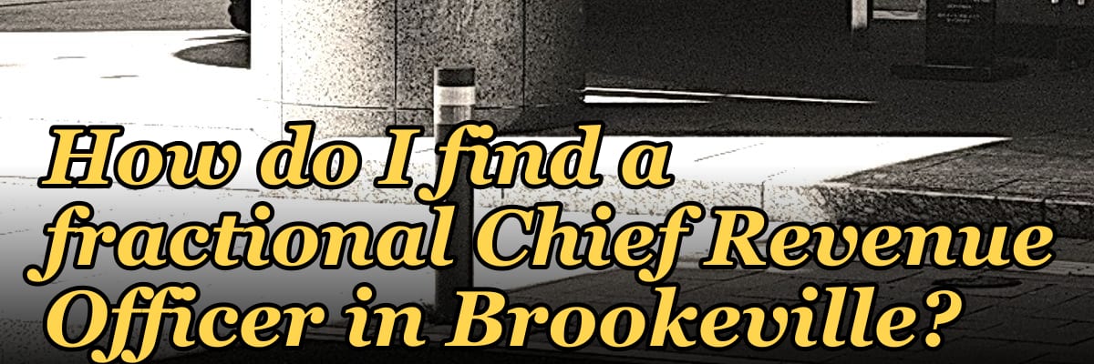 How do I find a fractional Chief Revenue Officer in Brookeville?