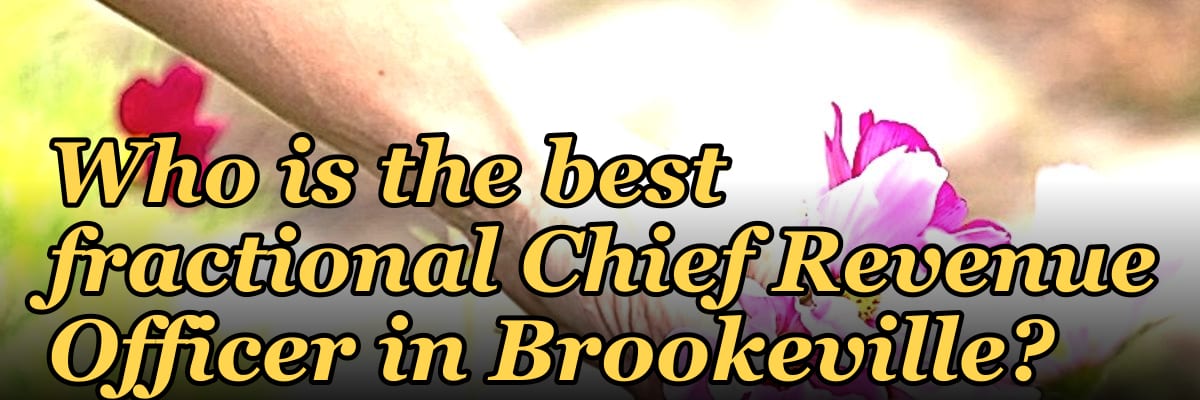 Who is the best fractional Chief Revenue Officer in Brookeville?