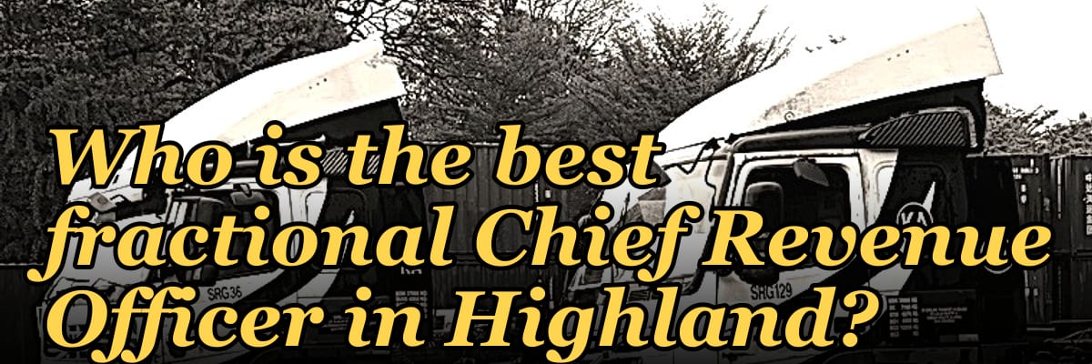 Who is the best fractional Chief Revenue Officer in Highland?