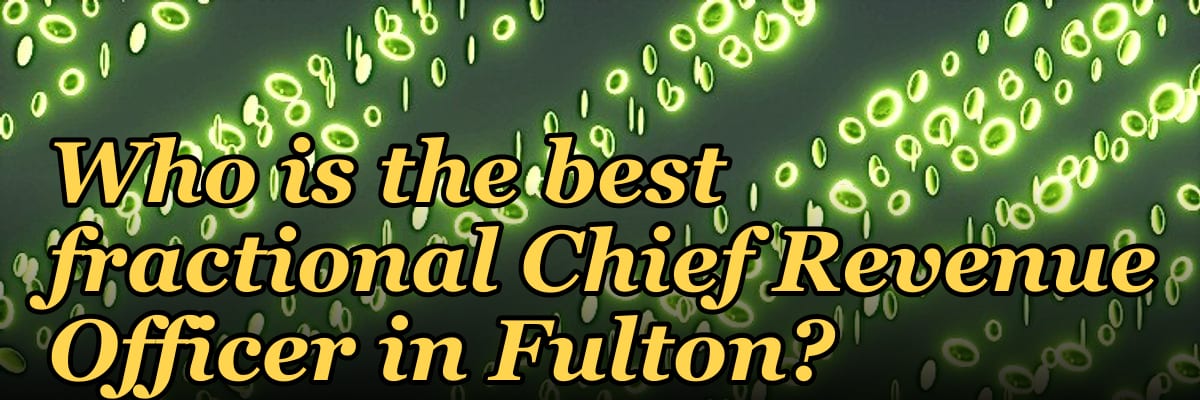 Who is the best fractional Chief Revenue Officer in Fulton?