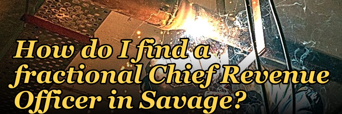 How do I find a fractional Chief Revenue Officer in Savage?