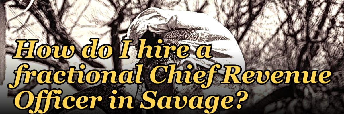 How do I hire a fractional Chief Revenue Officer in Savage?