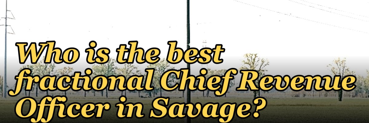 Who is the best fractional Chief Revenue Officer in Savage?
