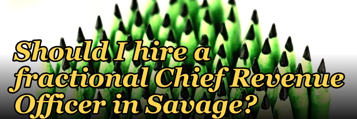 Should I hire a fractional Chief Revenue Officer in Savage?