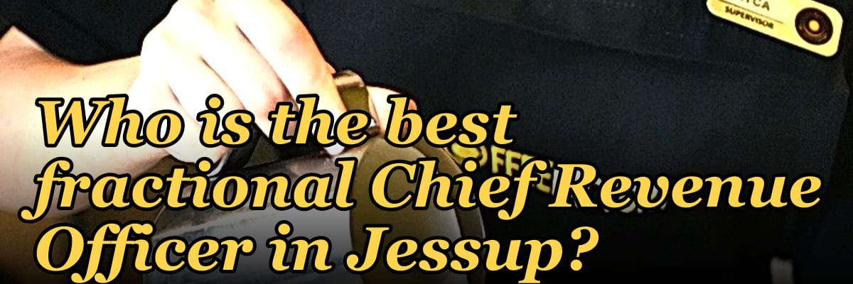 Who is the best fractional Chief Revenue Officer in Jessup?