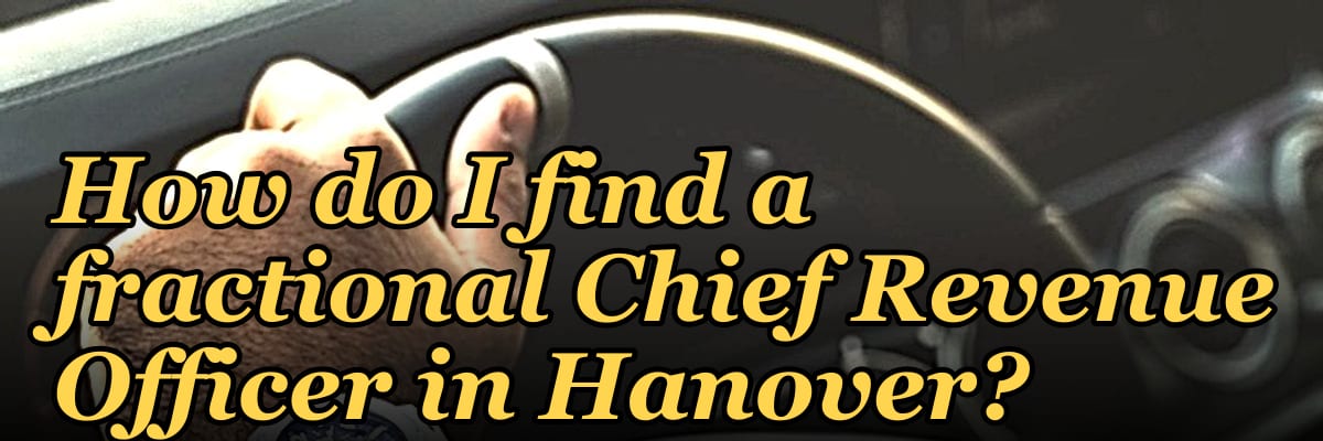 How do I find a fractional Chief Revenue Officer in Hanover?