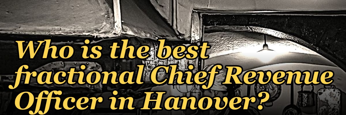 Who is the best fractional Chief Revenue Officer in Hanover?