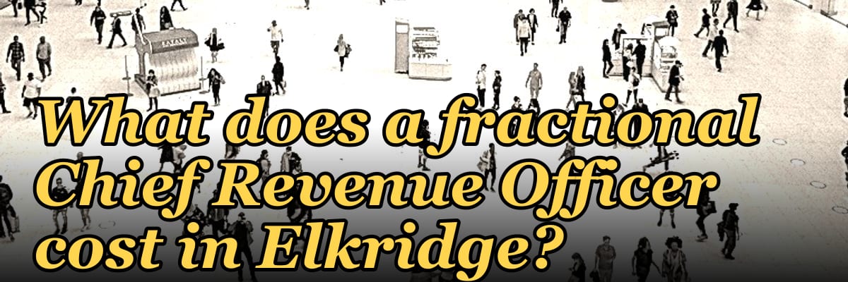 What does a fractional Chief Revenue Officer cost in Elkridge?