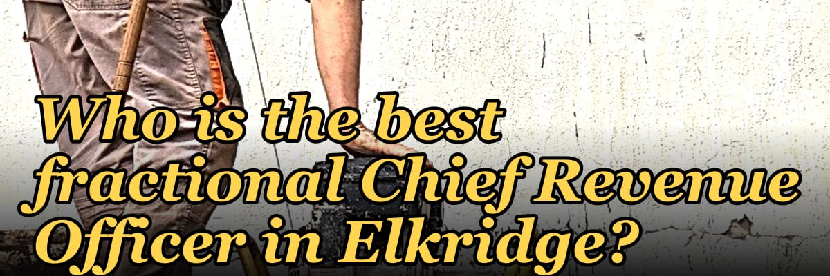 Who is the best fractional Chief Revenue Officer in Elkridge?