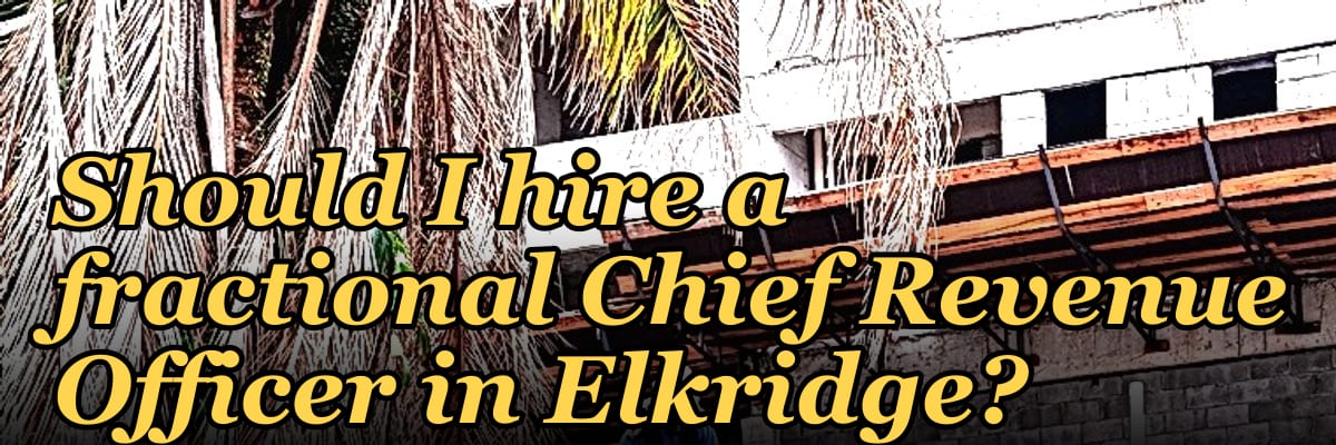 Should I hire a fractional Chief Revenue Officer in Elkridge?