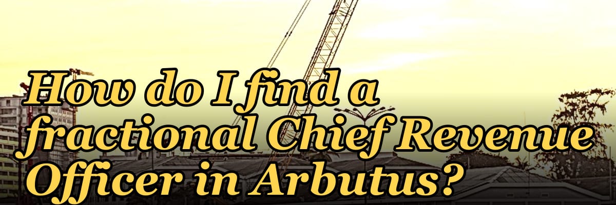 How do I find a fractional Chief Revenue Officer in Arbutus?