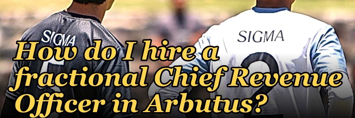 How do I hire a fractional Chief Revenue Officer in Arbutus?