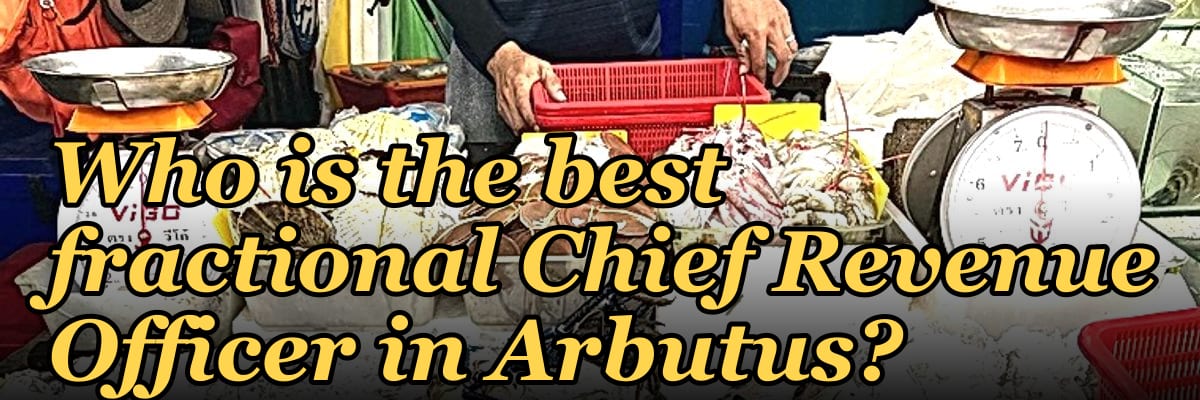Who is the best fractional Chief Revenue Officer in Arbutus?