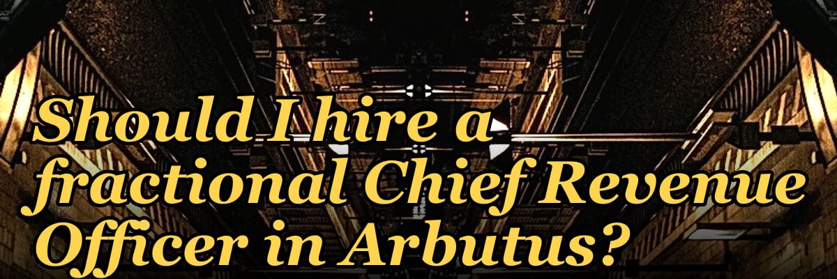 Should I hire a fractional Chief Revenue Officer in Arbutus?