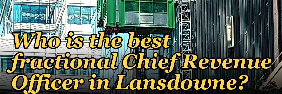 Who is the best fractional Chief Revenue Officer in Lansdowne?