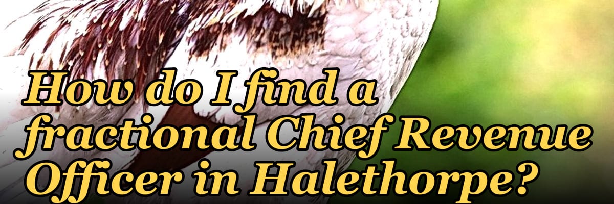 How do I find a fractional Chief Revenue Officer in Halethorpe?