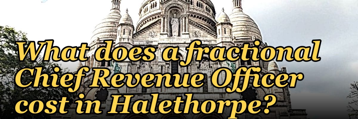 What does a fractional Chief Revenue Officer cost in Halethorpe?