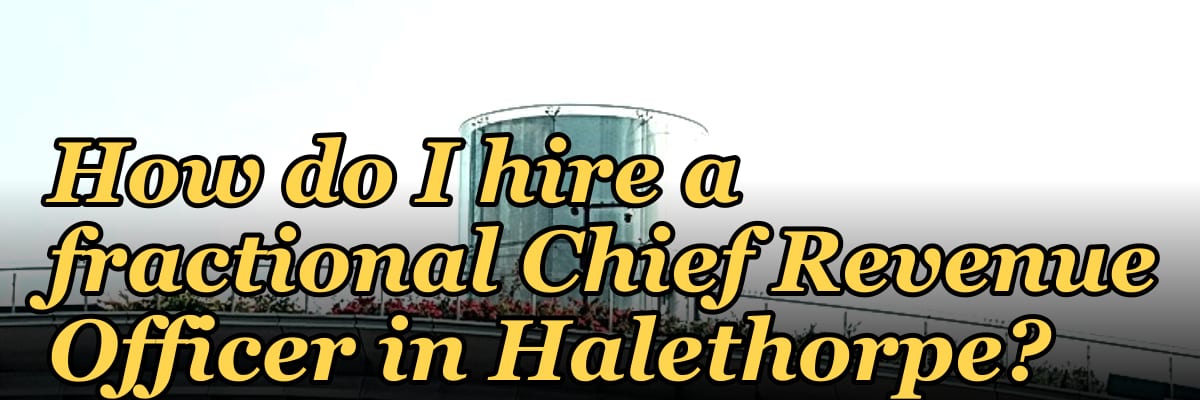 How do I hire a fractional Chief Revenue Officer in Halethorpe?