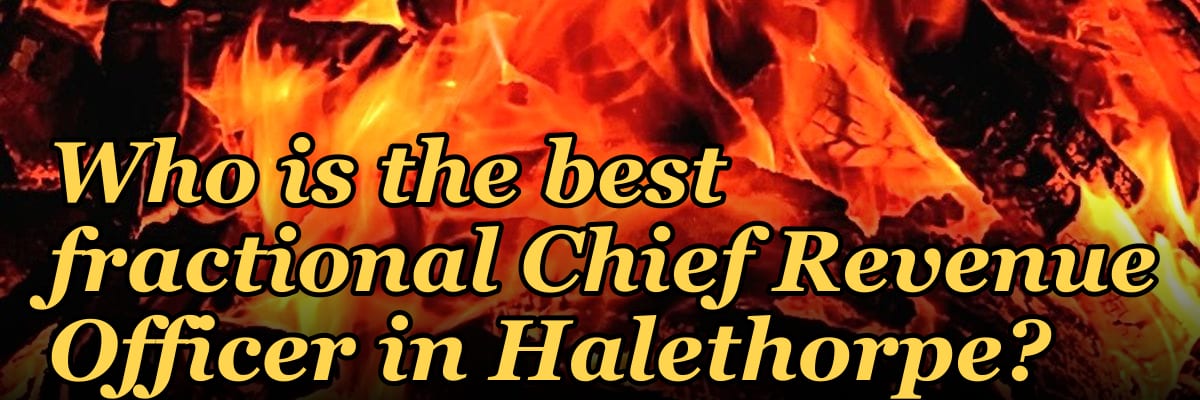 Who is the best fractional Chief Revenue Officer in Halethorpe?