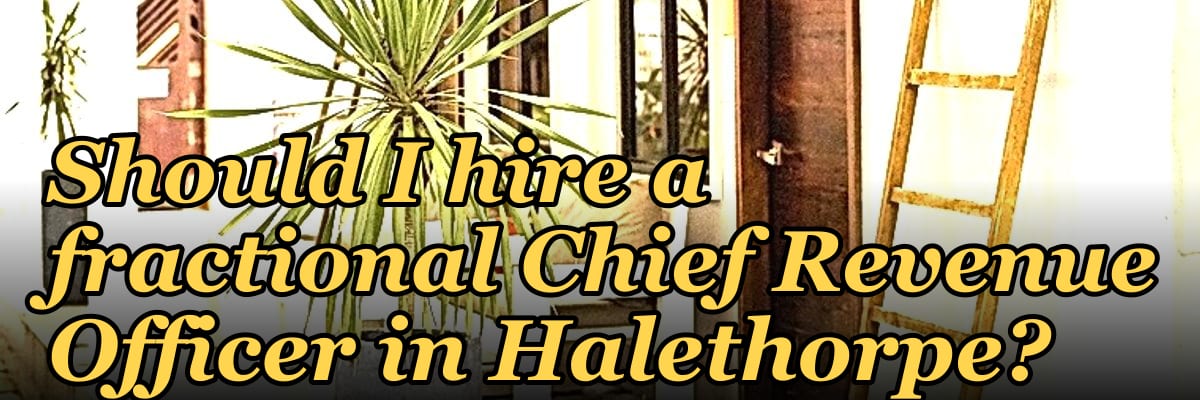 Should I hire a fractional Chief Revenue Officer in Halethorpe?