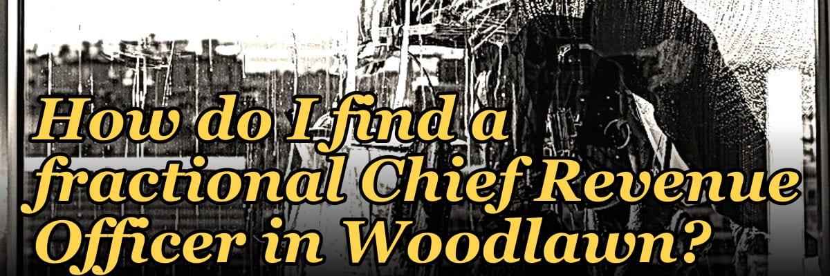 How do I find a fractional Chief Revenue Officer in Woodlawn?