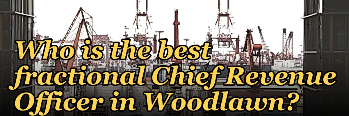 Who is the best fractional Chief Revenue Officer in Woodlawn?