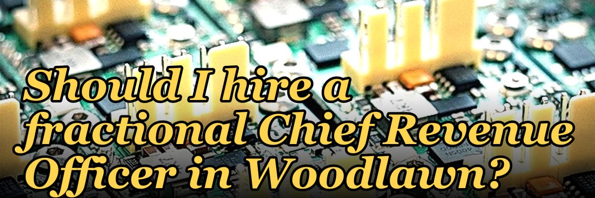 Should I hire a fractional Chief Revenue Officer in Woodlawn?