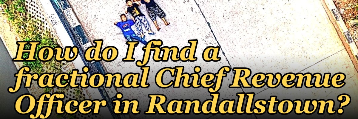How do I find a fractional Chief Revenue Officer in Randallstown?