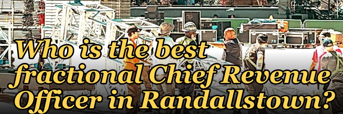 Who is the best fractional Chief Revenue Officer in Randallstown?