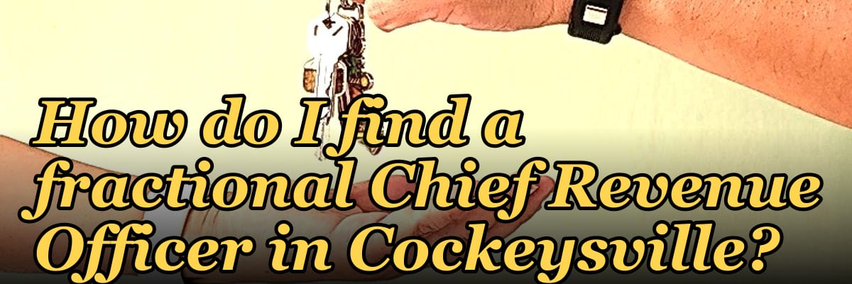 How do I find a fractional Chief Revenue Officer in Cockeysville?