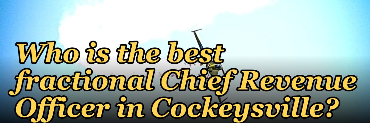 Who is the best fractional Chief Revenue Officer in Cockeysville?