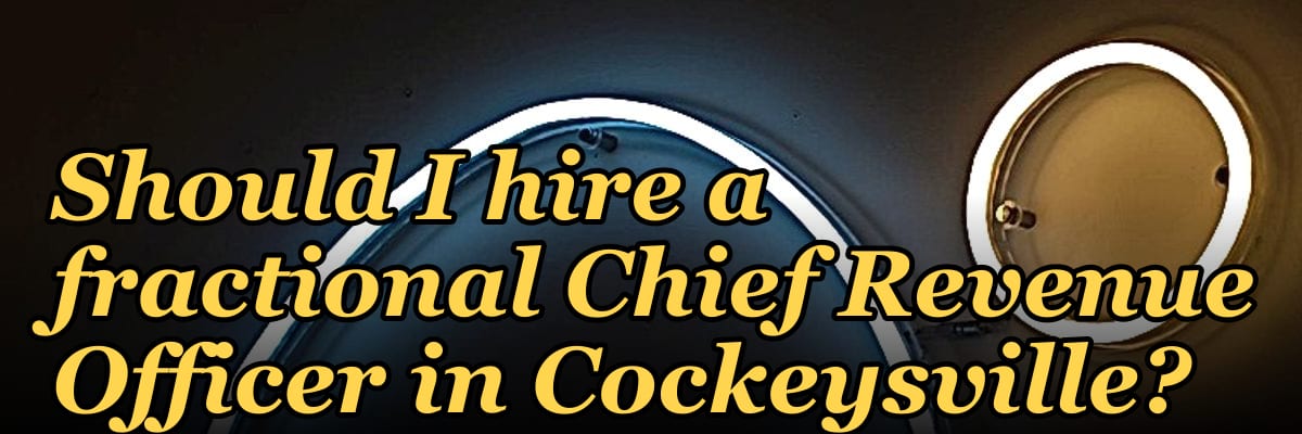 Should I hire a fractional Chief Revenue Officer in Cockeysville?