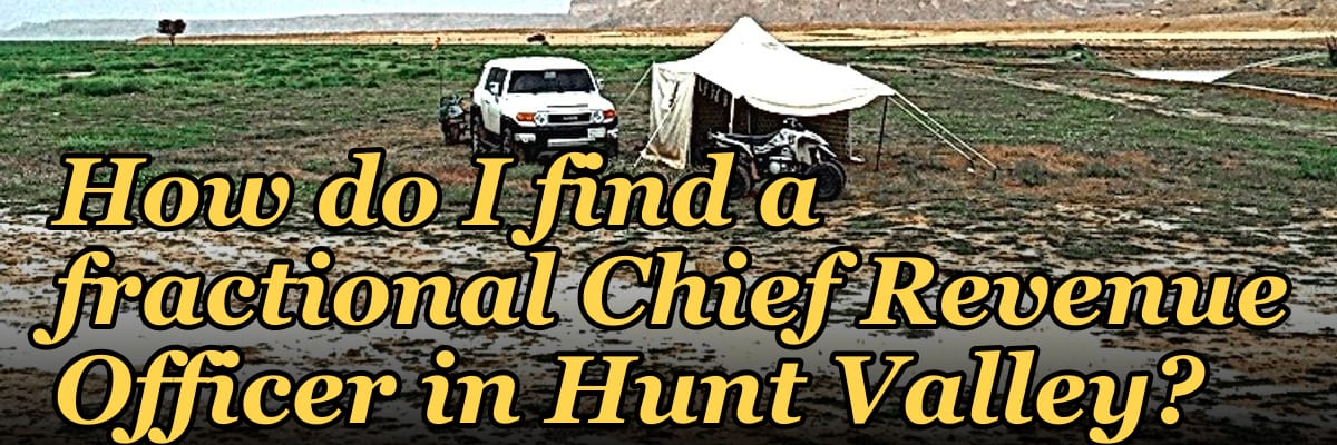 How do I find a fractional Chief Revenue Officer in Hunt Valley?