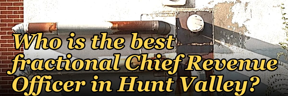 Who is the best fractional Chief Revenue Officer in Hunt Valley?