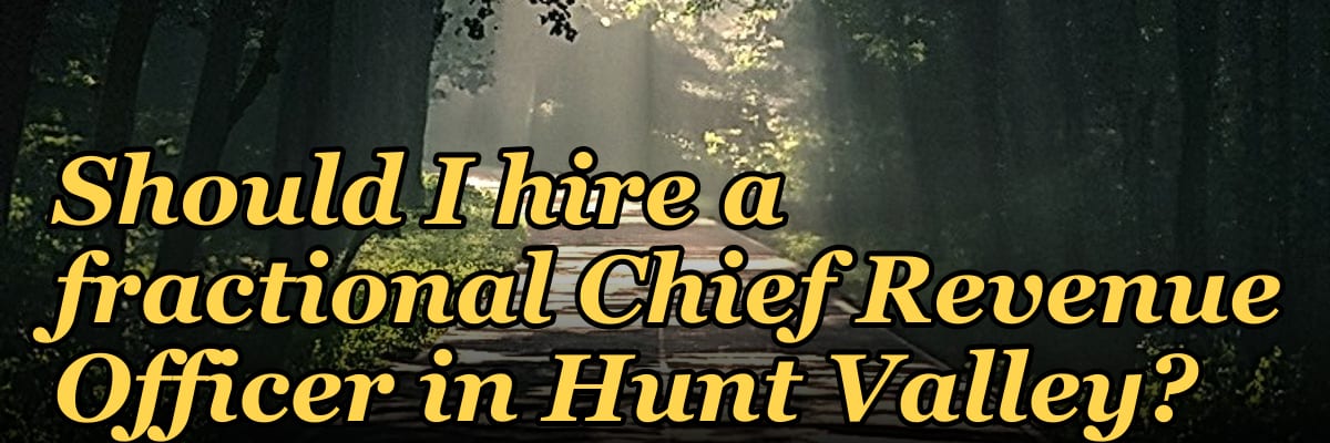 Should I hire a fractional Chief Revenue Officer in Hunt Valley?