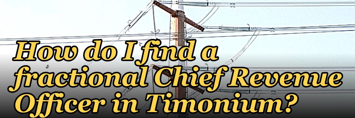 How do I find a fractional Chief Revenue Officer in Timonium?