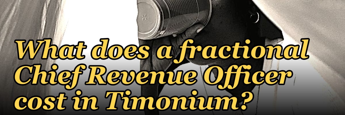 What does a fractional Chief Revenue Officer cost in Timonium?