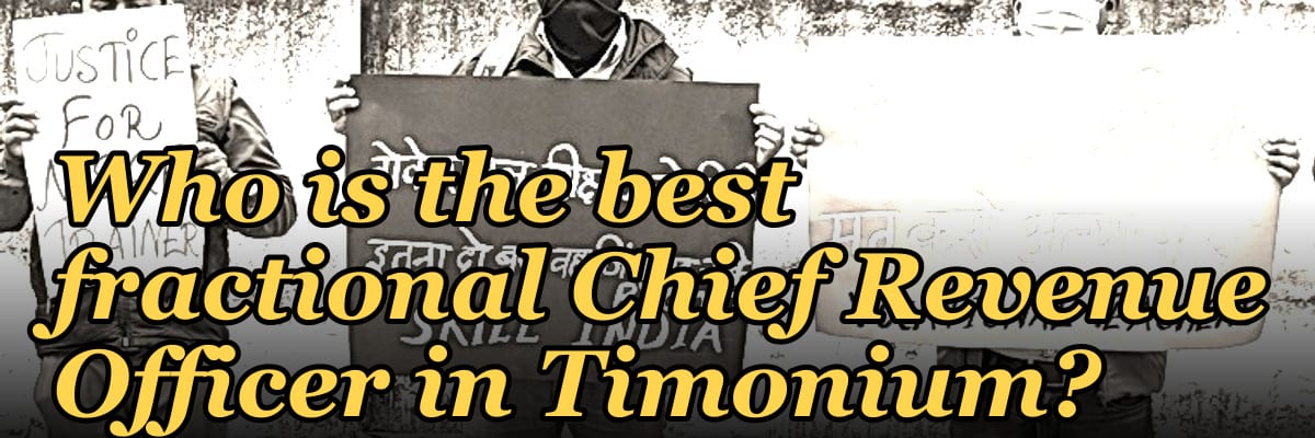 Who is the best fractional Chief Revenue Officer in Timonium?