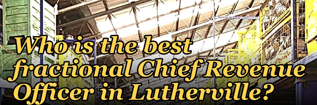 Who is the best fractional Chief Revenue Officer in Lutherville?