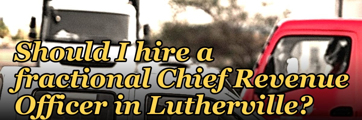 Should I hire a fractional Chief Revenue Officer in Lutherville?