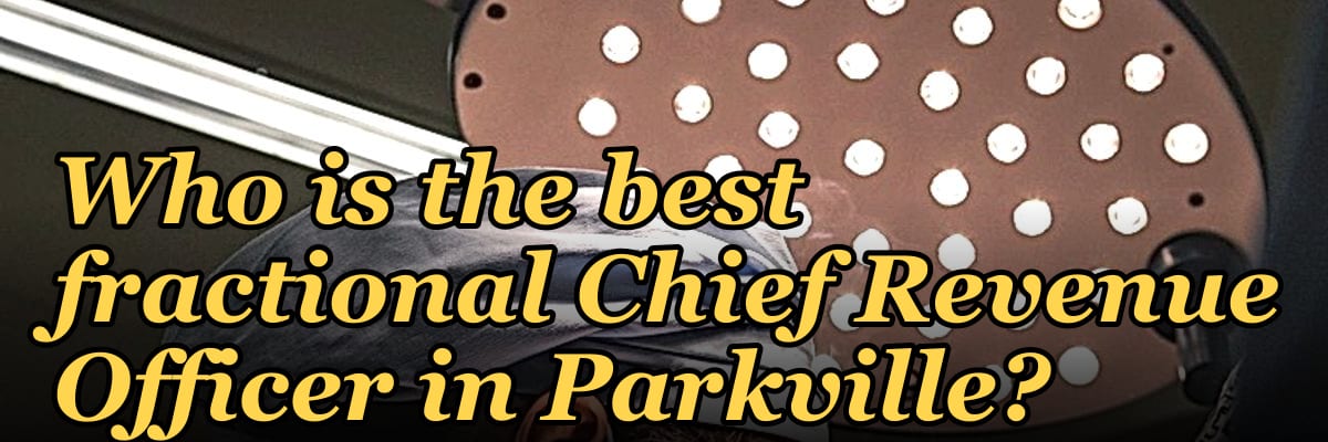 Who is the best fractional Chief Revenue Officer in Parkville?