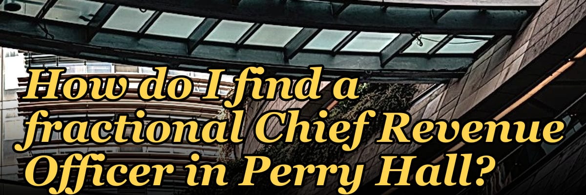 How do I find a fractional Chief Revenue Officer in Perry Hall?