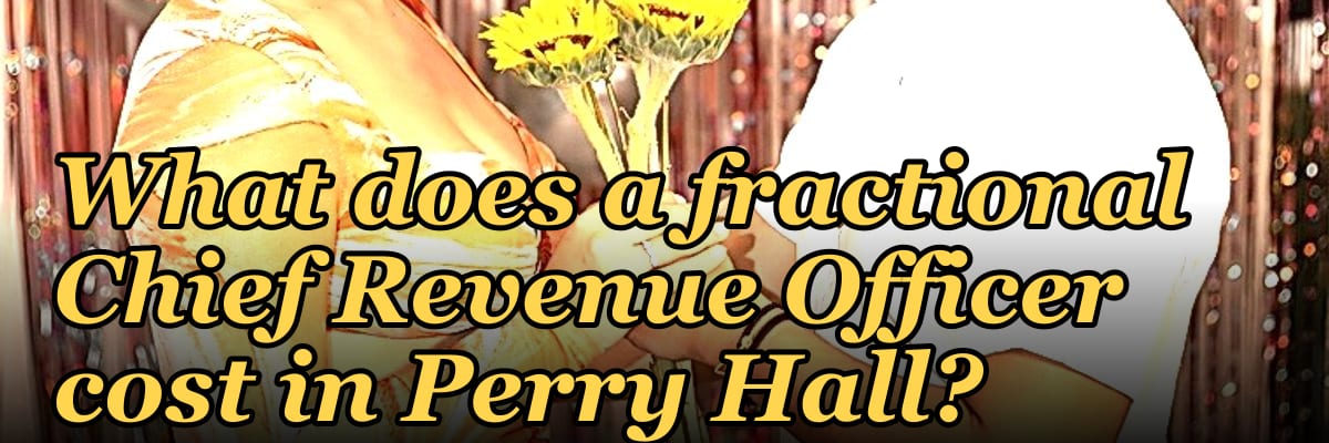 What does a fractional Chief Revenue Officer cost in Perry Hall?