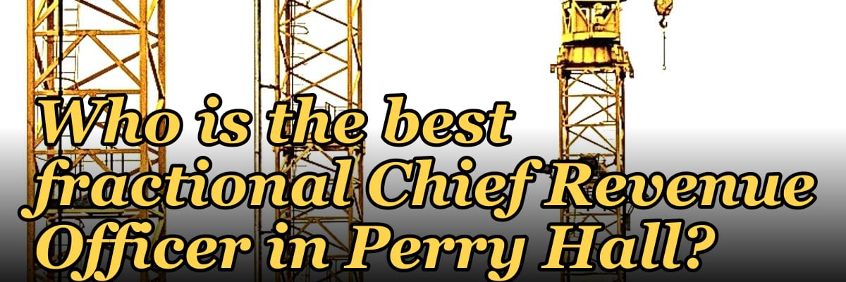Who is the best fractional Chief Revenue Officer in Perry Hall?
