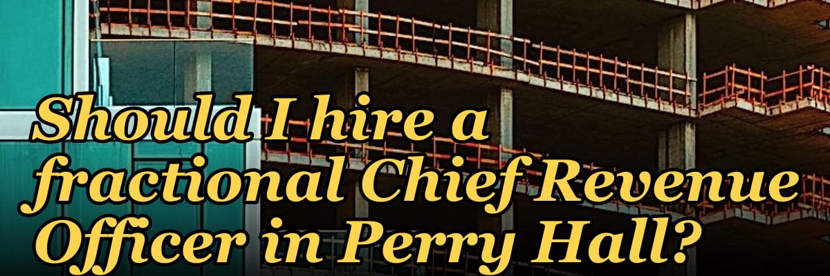 Should I hire a fractional Chief Revenue Officer in Perry Hall?