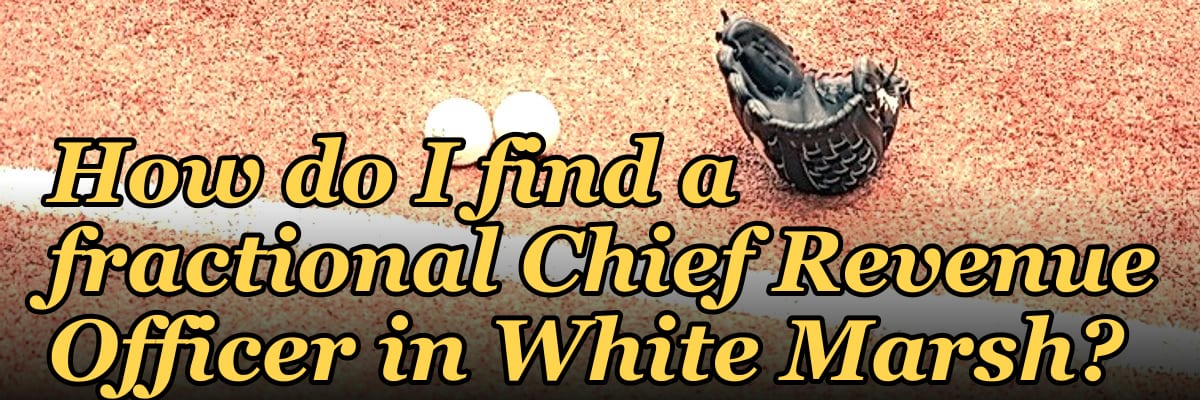 How do I find a fractional Chief Revenue Officer in White Marsh?