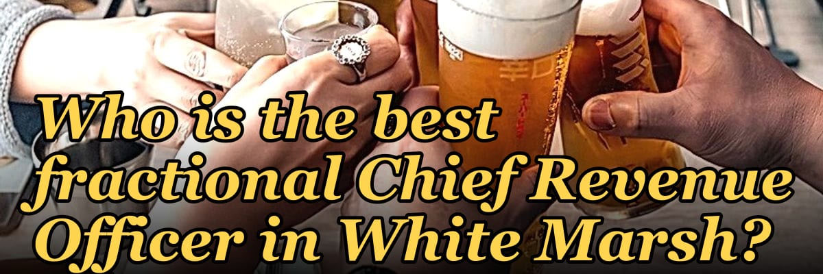 Who is the best fractional Chief Revenue Officer in White Marsh?