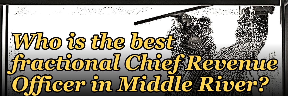 Who is the best fractional Chief Revenue Officer in Middle River?