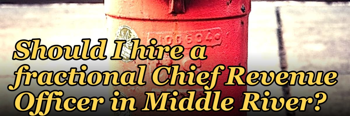 Should I hire a fractional Chief Revenue Officer in Middle River?