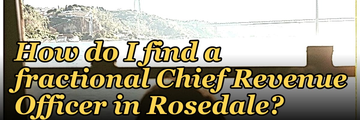How do I find a fractional Chief Revenue Officer in Rosedale?